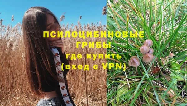 герыч Алексеевка