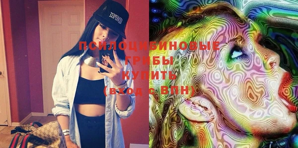 PSILOCYBIN Алзамай