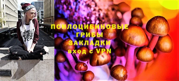 PSILOCYBIN Алзамай