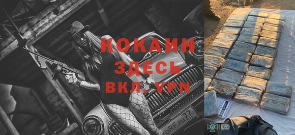 PSILOCYBIN Алзамай
