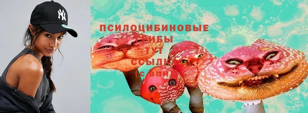 соль ск Алексин