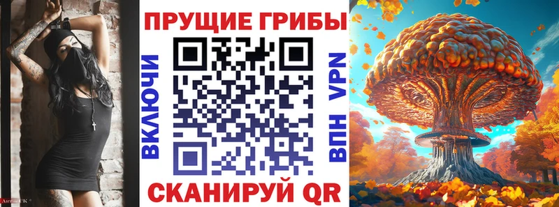 Псилоцибиновые грибы Cubensis omg tor Закаменск